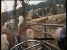 Toulavá kamera - Prášily, chovatel koní