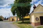 Trnčí