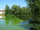 Veský rybník, Ždánov