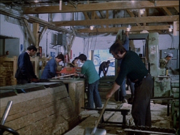 Za trnkovým keřem - Kvilda pila