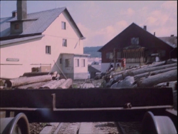 Za trnkovým keřem - Kvilda pila