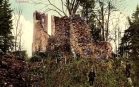 zřícenina hradu Rýzmberk (historické)