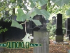 židovský hřbitov Domažlice