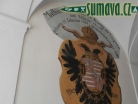 zámek Český Krumlov