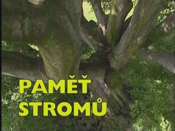 Paměť stromů - 14. díl - Lešišov, Mokrosuky