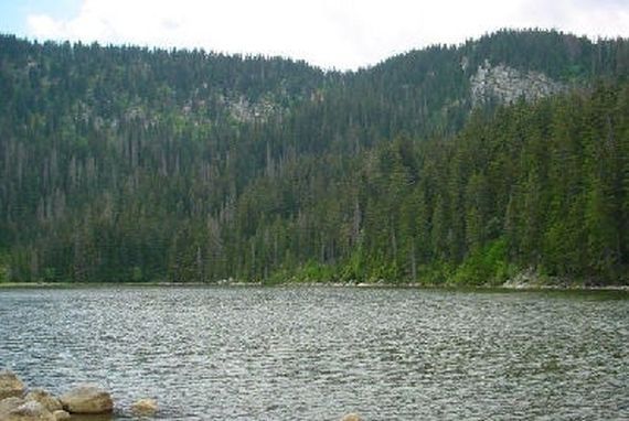 Plešné jezero (ledovcové)