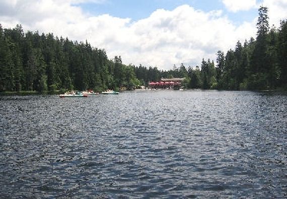 Velké Javorské jezero (ledovcové) (D)