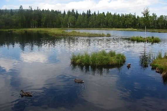 Chalupská slať