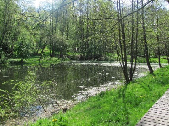 rybník v zámeckém parku Zdíkov