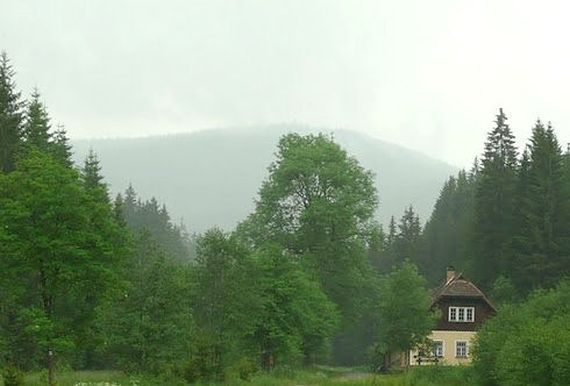 Boubín 1362 m n. m.