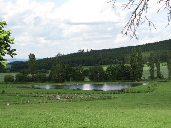 rybník Libkov