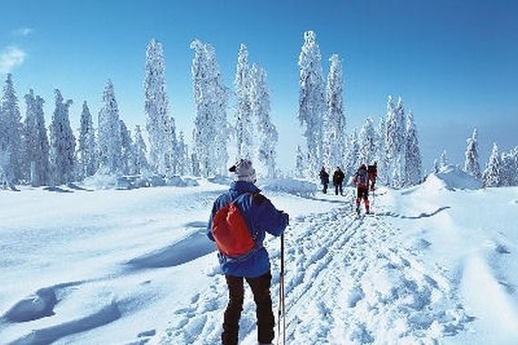 běžecké lyžování Frauenberg (D)