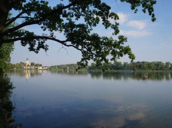 Podkostelní rybník, Putim