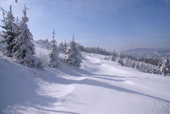 běžecké lyžování Holzschlag (D)