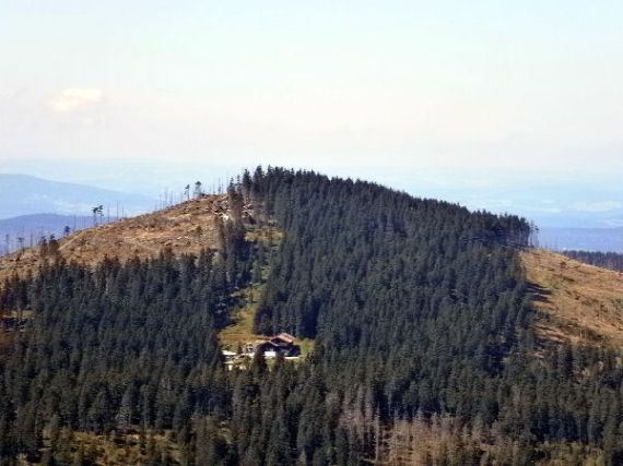 Malý Javor - Kleiner Arber (D) 1.348 m.n.m.