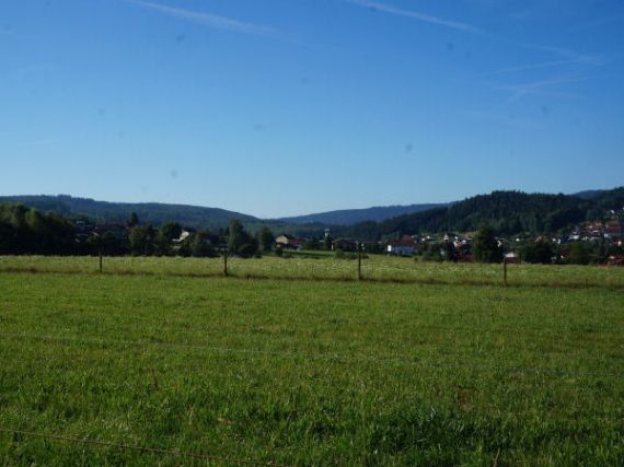 Frauenau (D)