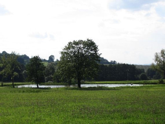 Nový rybník, Němčice u Předslavi