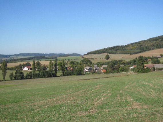 Buková