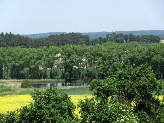 rybník Brůdek, Radomyšl