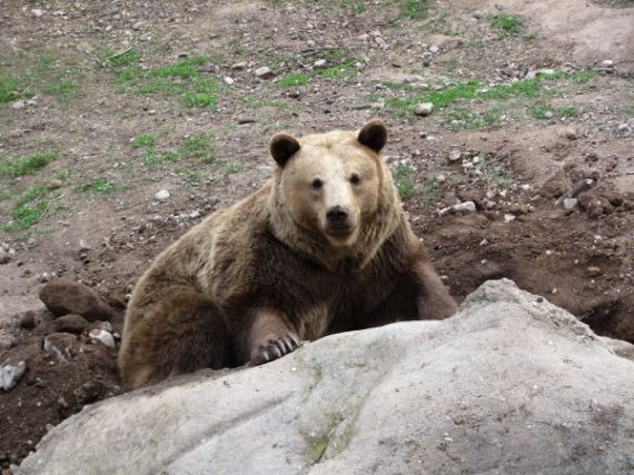 ZOO Plzeň