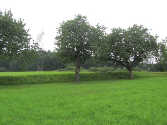 Hradiště u Malovic - keltské kultovní ohrazení