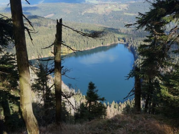 Šídlatka jezerní, Černé jezero