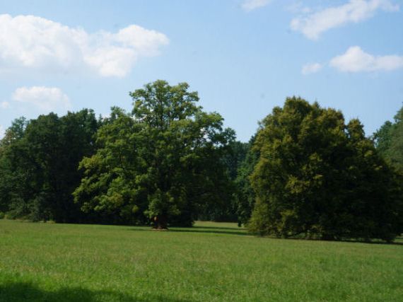 Anglický krajinářský park, Třeboň