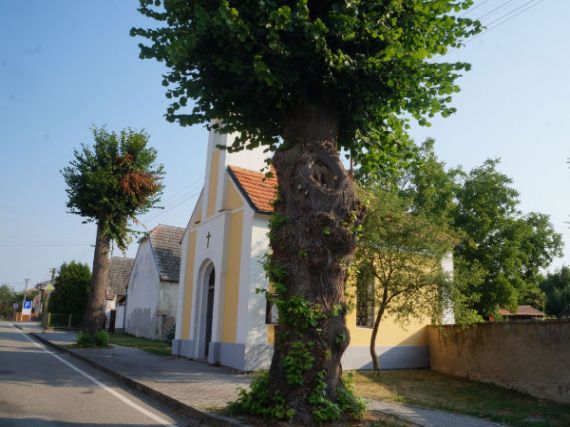 kaple sv. Václava, Zvíkovské Podhradí