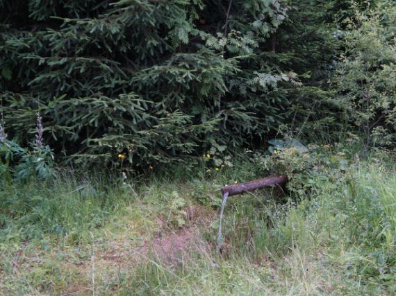 Kepelská studánka