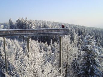 stezka po lávkách Wald-Wipfel-Weges (D)