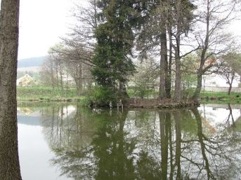 rybník Svojšice
