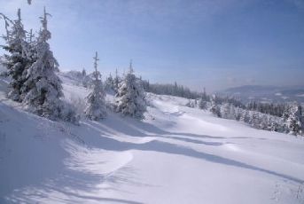 běžecké lyžování Holzschlag (D)