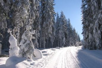 běžecké lyžování Lipno - Kramolín