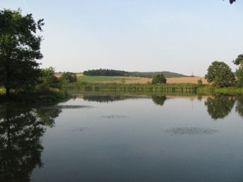 rybník Lotrov