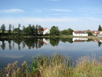 Mlýnský rybník, Frymburk u Sušice