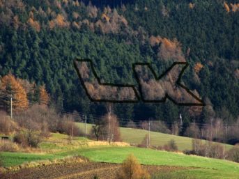 monogram LK ze stromořadí
