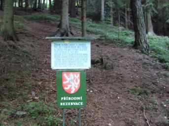 přírodní rezervace Borek