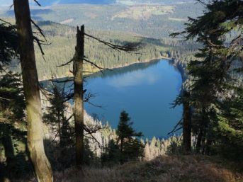 Šídlatka jezerní, Černé jezero