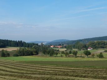 Třebýcina