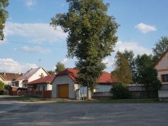 Přehořov