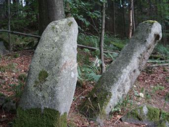 menhiry Manželé / Dvojčata, Javorník