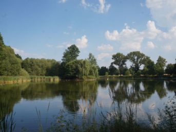 Novodvorský rybník