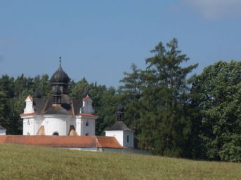 modřín opadavý u Svaté Trojice