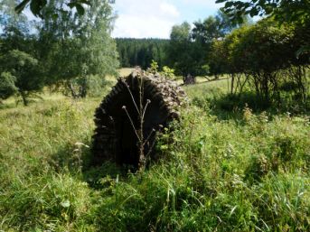 studánka pod kaplí sv. Kunhuty, Prenet