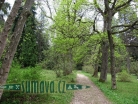Americká zahrada Chudenice