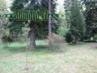Americká zahrada Chudenice