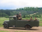Bahna 2008