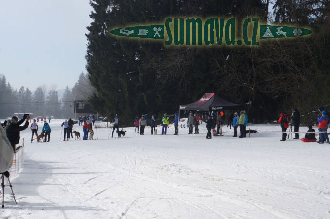 Belvederský sprint, 1. skijöringový závod na Železnorudsku