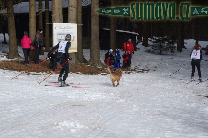 Belvederský sprint, 1. skijöringový závod na Železnorudsku