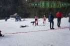Belvederský sprint, 1. skijöringový závod na Železnorudsku